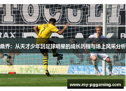 桑乔：从天才少年到足球明星的成长历程与场上风采分析